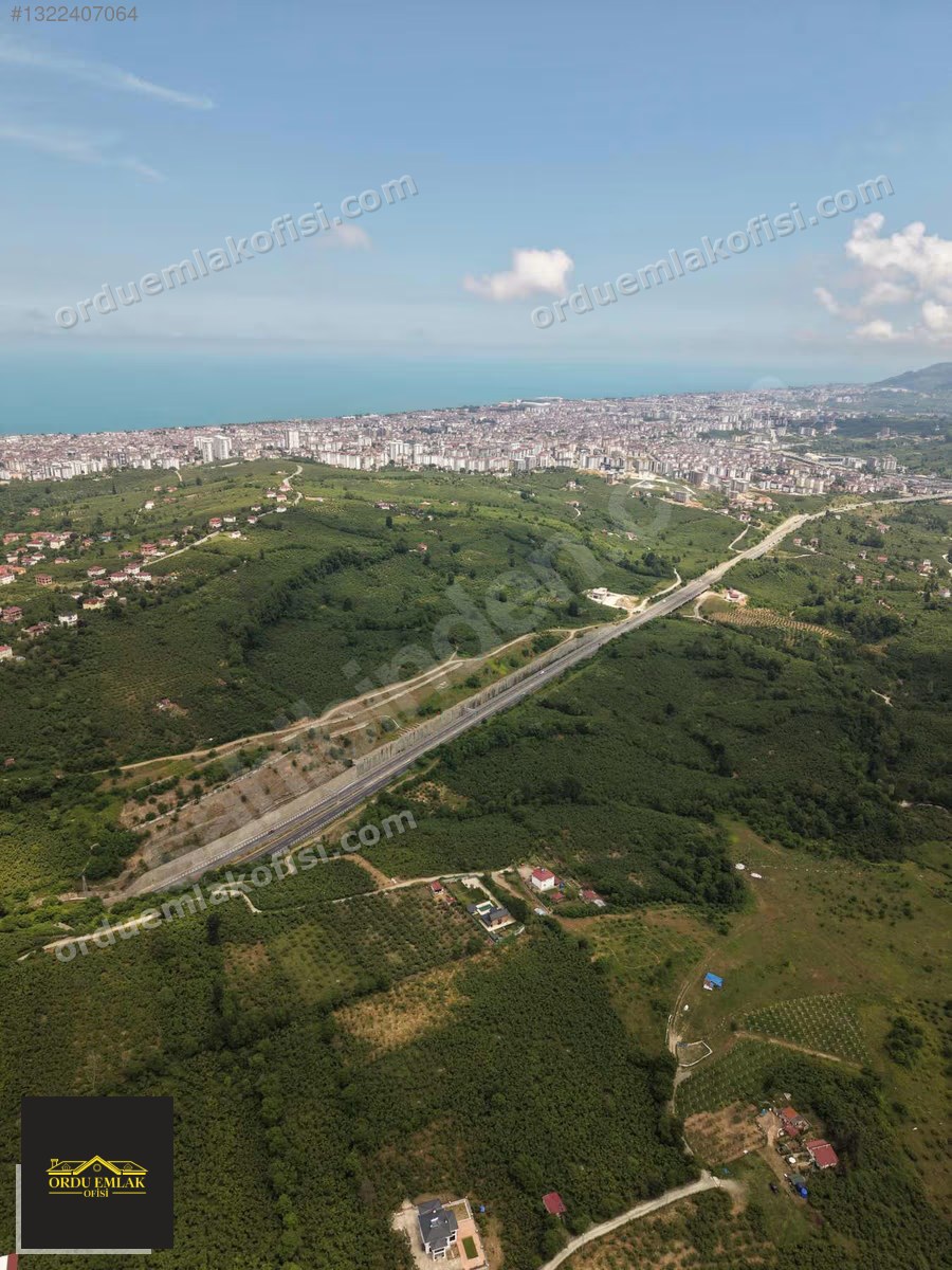 ÖCELİDE TEK PARSEL 10.000 M² BAHÇE